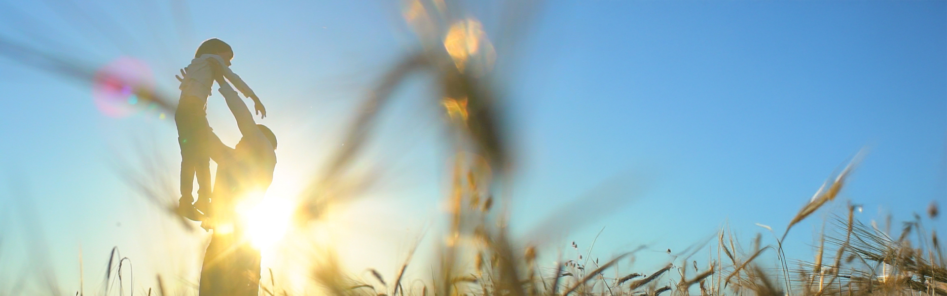 Earth Goods Story Banner