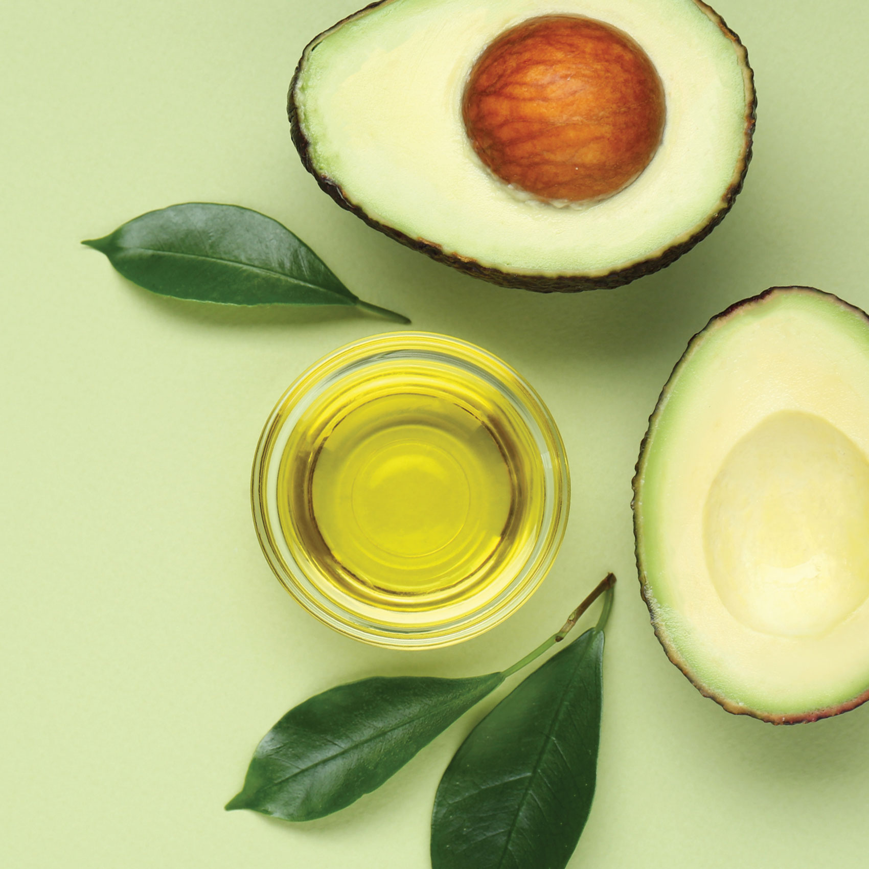 Earth Goods Product Thumbnail Image 3