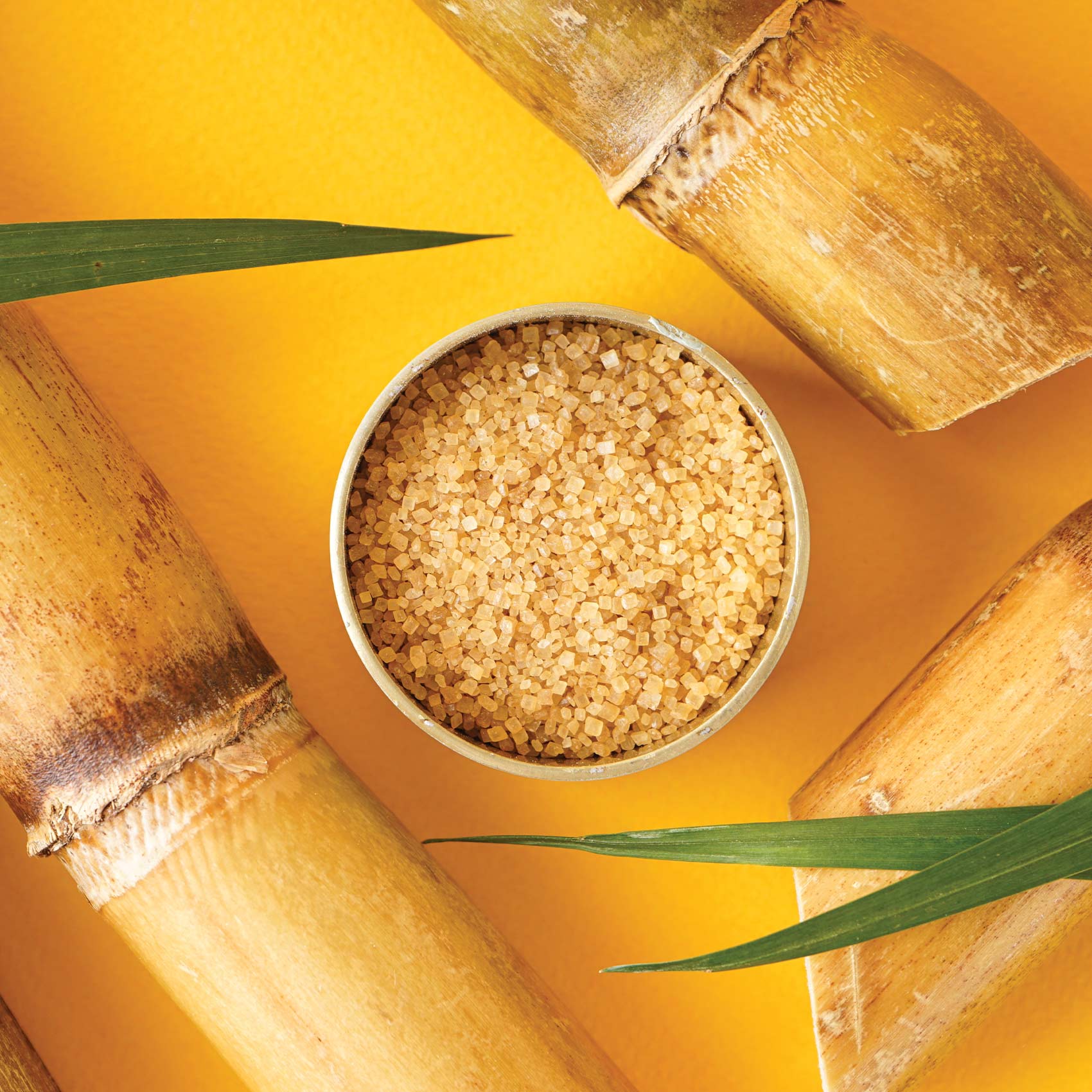 Earth Goods Product Thumbnail Image 1